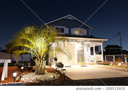 有棕櫚樹的美國車庫房子 100515910