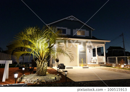 American garage house with palm trees American garage house with palm trees 100515913