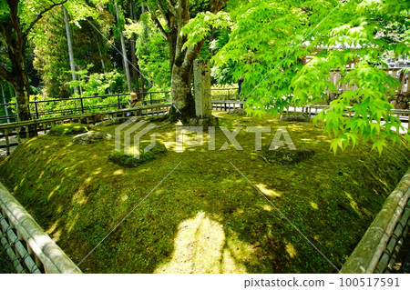 牡丹長谷寺（奈良縣） 100517591