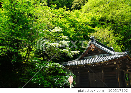 Botan Hasedera (Nara Prefecture) 100517592