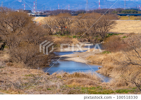 早春入間河河床枯樹、橋樑和輸電塔 100518330