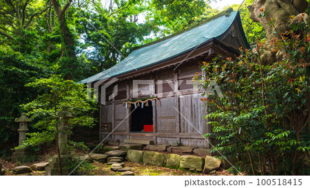 Scenery of Oshima Island: Worship Hall of Ominato Shrine 100518415