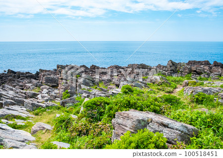 Scenery of Oshima 100518451