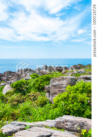 Scenery of Oshima 100518729