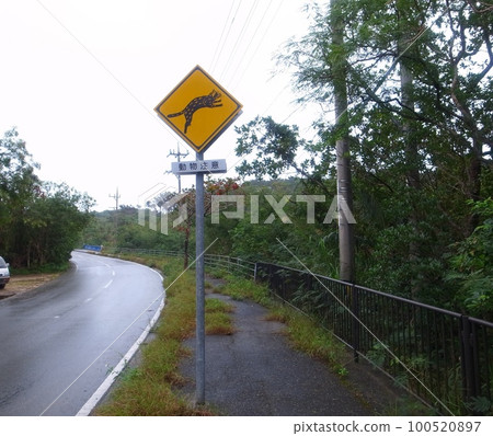 Road signs of Iriomote Island Road signs of Iriomote Island 100520897