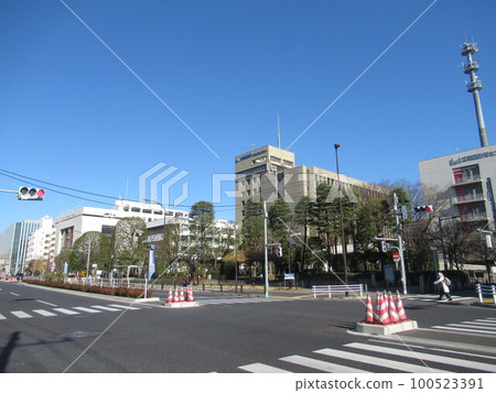 Near Koto Ward Office Near Koto Ward Office 100523391