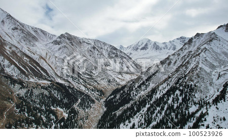 High snowy mountains with forest in the gorge High snowy mountains with forest in the gorge 100523926