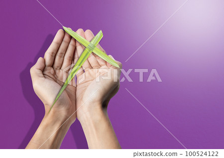 Palm Sunday 100524122
