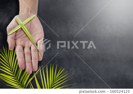 Palm Sunday 100524125