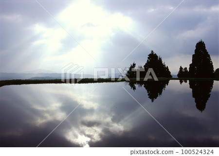 The sun reflected on the pond and the light that shines through 100524324