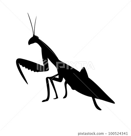 Vector hand drawn mantis silhouette Vector hand drawn mantis silhouette 100524341