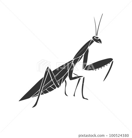 Vector hand drawn doodle sketch black mantis Vector hand drawn doodle sketch black mantis 100524380