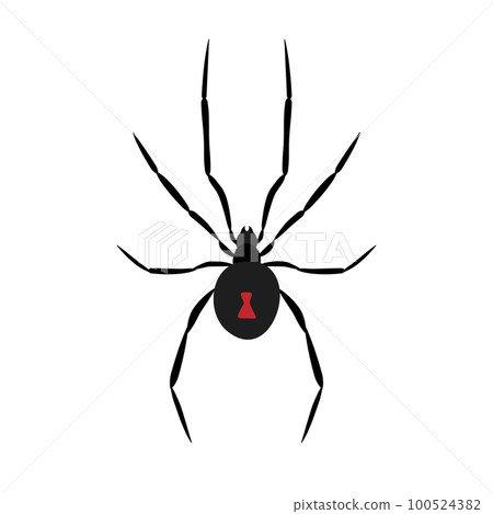 Vector flat hand drawn spider 100524382