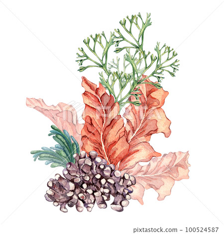 Composition of colorful sea plants watercolor illustration isolated on white. Composition of colorful sea plants watercolor illustration isolated on white. 100524587