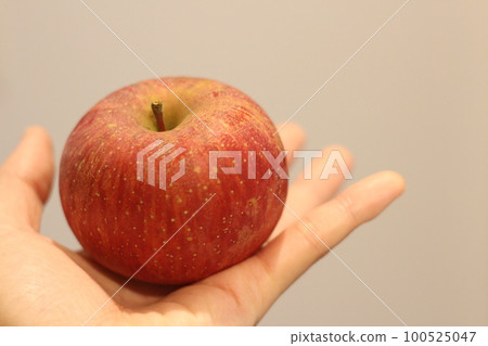 Fuji apples, gift, red, palm, how to check the freshness of apples 100525047