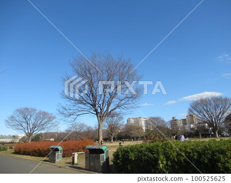 木場公園 木場公園 100525625