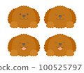 Toy poodle face set with 4 different expressions 100525797