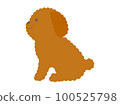 Sitting sideways toy poodle 100525798