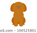 Sitting Toy Poodle 100525801