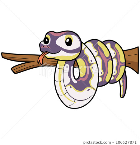 Cute banana pastel ball python cartoon on tree branch 100527871