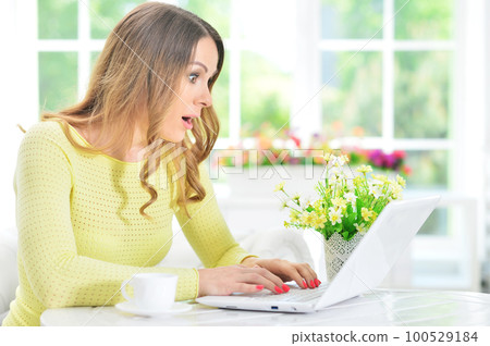 woman using laptop at home at the table 100529184