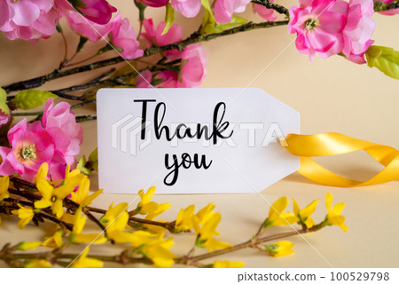 Spring Flower Decoration, Label With English Text Thank You Spring Flower Decoration, Label With English Text Thank You 100529798