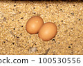 新鮮的雞蛋 100530556