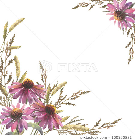 Template for invitations, postcards. Composition of watercolor echinacea flowers and field herbs, with empty space for text Template for invitations, postcards. Composition of watercolor echinacea flowers and field herbs, with empty space for text 100530881