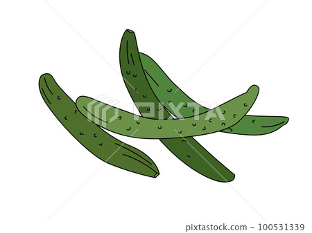 夏季蔬菜簡單插圖集 4 根黃瓜 100531339