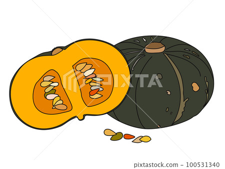 夏季蔬菜插圖集一個南瓜和切成兩半的橫截面 100531340