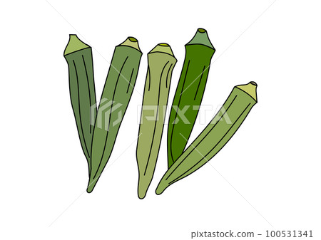 插圖集 5 種夏季蔬菜秋葵 插圖集 5 種夏季蔬菜秋葵 100531341