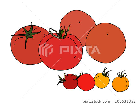 夏季蔬菜插圖集 4 個大番茄和 4 個櫻桃番茄 100531352