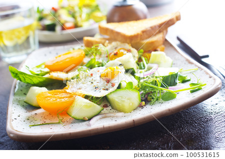 Avocado, vegetable and fried egg sandwich. Breakfast Avocado, vegetable and fried egg sandwich. Breakfast 100531615