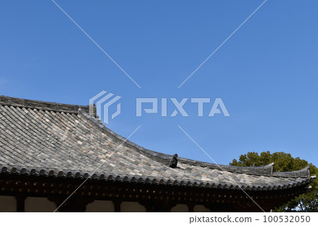 Main hall roof and blue sky Main hall roof and blue sky 100532050