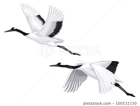 2 crane illustrations 2 crane illustrations 100532150