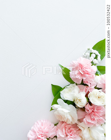Pink floral. assorted pink flowers border on white 100532422