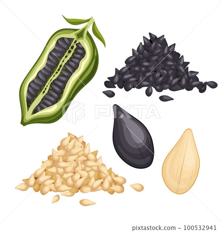 sesame seed food set cartoon vector illustration 100532941