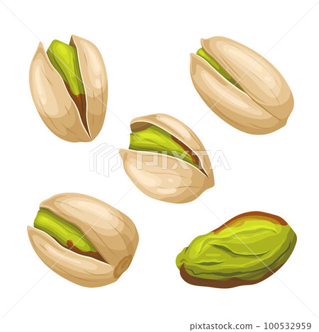 pistachio nut food set cartoon vector illustration pistachio nut food set cartoon vector illustration 100532959