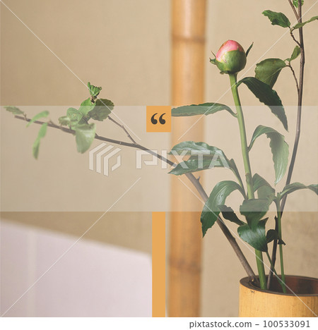 Social media quote template image background with space for words editing on mobile or software. 100533091