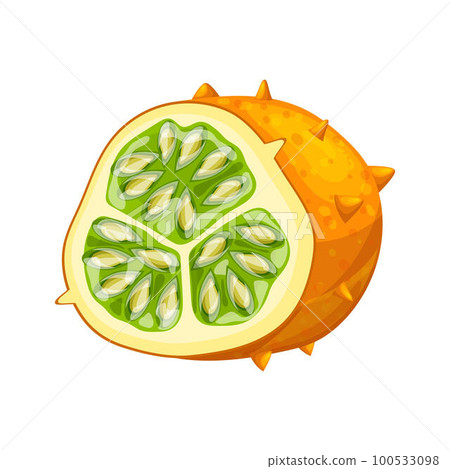 kiwano fruit food cut cartoon vector illustration 100533098