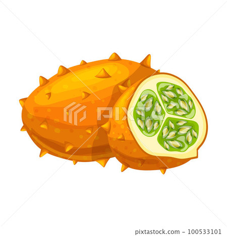 kiwano fruit food yellow cartoon vector illustration 100533101