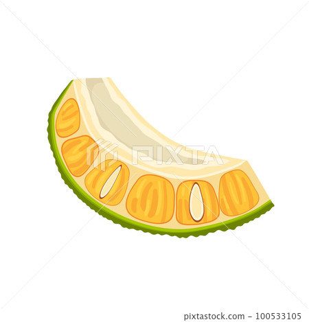 jackfruit slice cut cartoon vector illustration 100533105