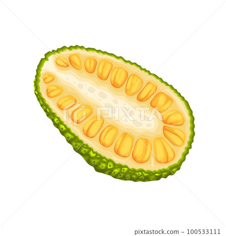 jackfruit slice cut cartoon vector illustration 100533111