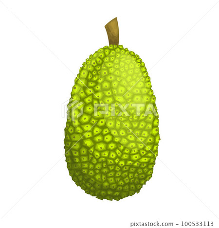jackfruit food cartoon vector illustration 100533113