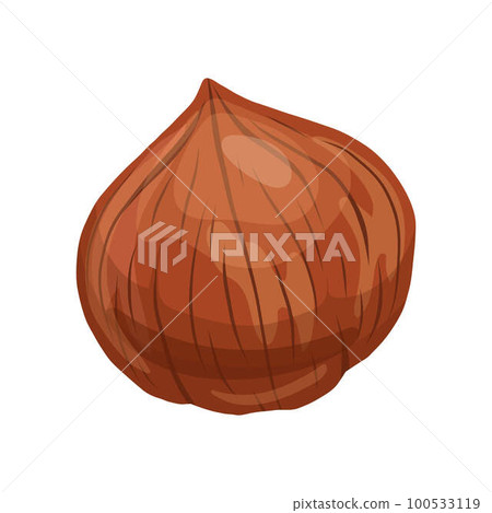 hazelnut brown nut cartoon vector illustration hazelnut brown nut cartoon vector illustration 100533119