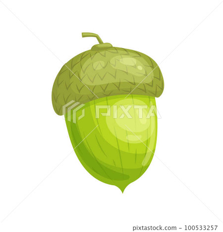 acorn green seed cartoon vector illustration acorn green seed cartoon vector illustration 100533257