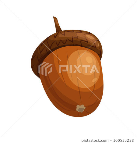 acorn brown seed cartoon vector illustration acorn brown seed cartoon vector illustration 100533258