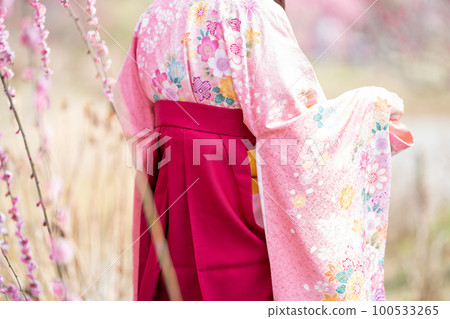 早春，一名身著日式服裝的女子在垂枝梅前擺姿勢 100533265