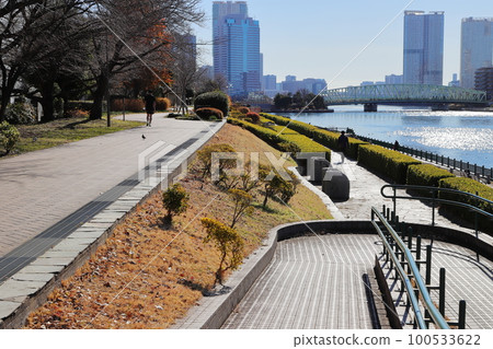 東京城市景觀隅田川露台越中島公園 100533622