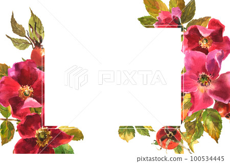 Watercolor illustration, template for postcard wit empty spase for you text, arranged from leaves, flowers and berries rose hip. Dog rose frame. Stylish fashion frame. Wedding design. Watercolor illustration, template for postcard wit empty spase for you text, arranged from leaves, flowers and berries rose hip. Dog rose frame. Stylish fashion frame. Wedding design. 100534445